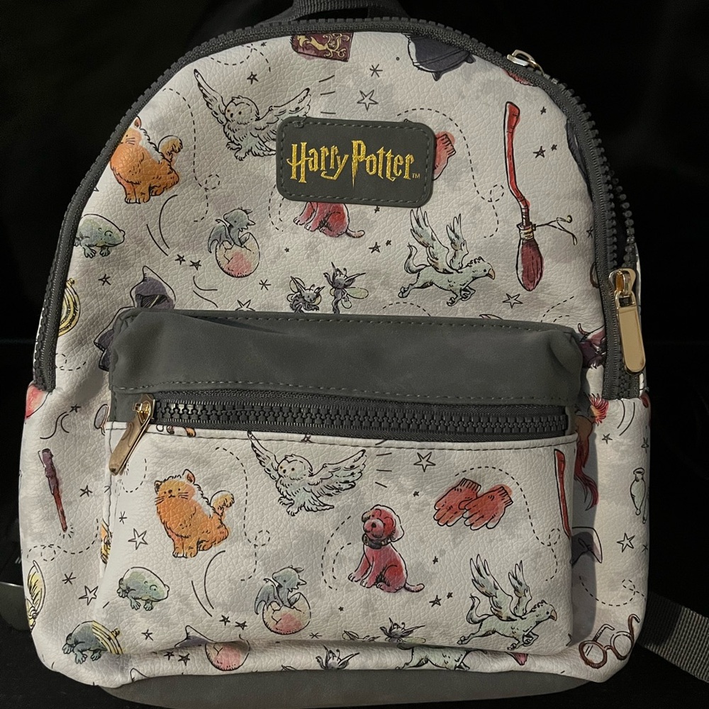 Warner Bros. Kids Backpack - Gray